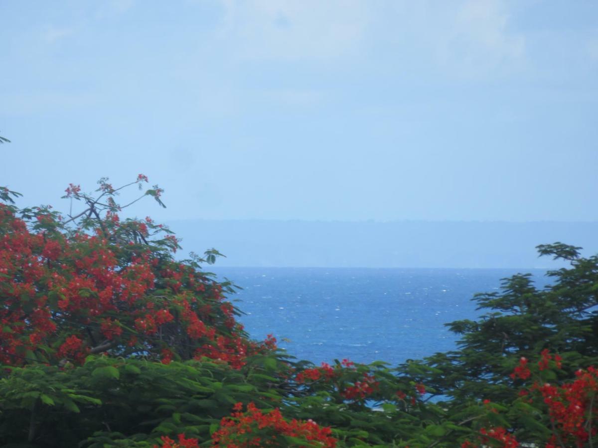 La Larimar *