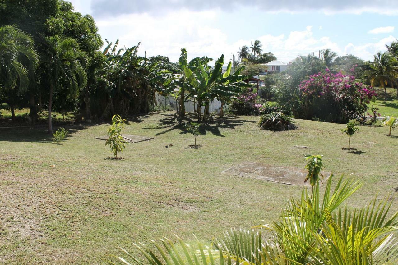La Larimar